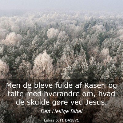 Picture 03 - Lukas 6:11 DA1871 - Men de bleve fulde af Raseri og talte med - Bible Verse Picture