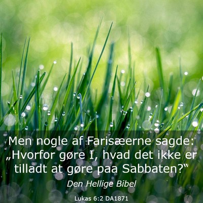 Picture 03 - Lukas 6:2 DA1871 - Men nogle af Farisæerne sagde: „Hvorfor gøre - Bible Verse Picture