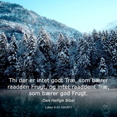 Picture 03 - Lukas 6:43 DA1871 - Thi der er intet godt Træ, som bærer raadden - Bible Verse Picture
