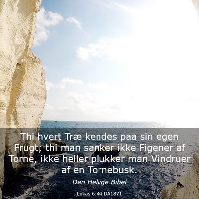 Picture 03 - Lukas 6:44 DA1871 - Thi hvert Træ kendes paa sin egen Frugt; thi man - Bible Verse Picture