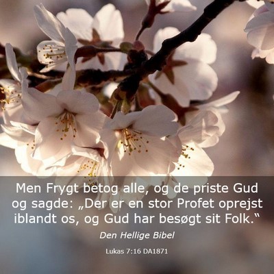 Picture 03 - Lukas 7:16 DA1871 - Men Frygt betog alle, og de priste Gud og sagde: - Bible Verse Picture