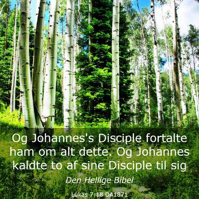 Picture 03 - Lukas 7:18 DA1871 - Og Johannes's Disciple fortalte ham om alt dette. - Bible Verse Picture