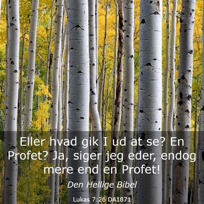 Picture 03 - Lukas 7:26 DA1871 - Eller hvad gik I ud at se? En Profet? Ja, siger - Bible Verse Picture