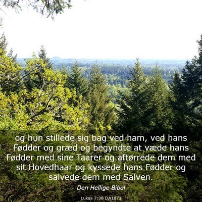 Picture 03 - Lukas 7:38 DA1871 - og hun stillede sig bag ved ham, ved hans Fødder - Bible Verse Picture