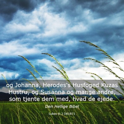 Picture 03 - Lukas 8:3 DA1871 - og Johanna, Herodes's Husfoged Kuzas Hustru, og - Bible Verse Picture