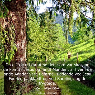 Picture 03 - Lukas 8:35 DA1871 - Da gik de ud for at se det, som var sket, og de - Bible Verse Picture