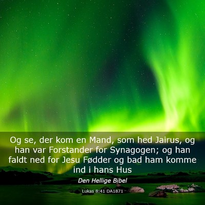 Picture 03 - Lukas 8:41 DA1871 - Og se, der kom en Mand, som hed Jairus, og han - Bible Verse Picture