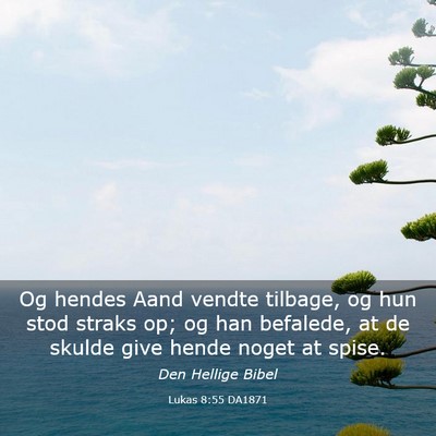 Picture 03 - Lukas 8:55 DA1871 - Og hendes Aand vendte tilbage, og hun stod straks - Bible Verse Picture
