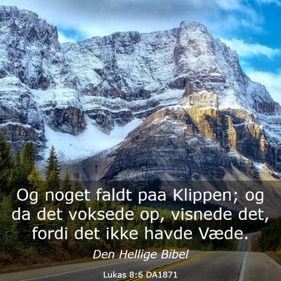 Picture 03 - Lukas 8:6 DA1871 - Og noget faldt paa Klippen; og da det voksede op, - Bible Verse Picture