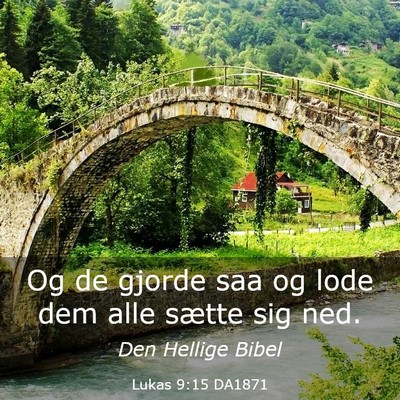 Picture 03 - Lukas 9:15 DA1871 - Og de gjorde saa og lode dem alle sætte sig - Bible Verse Picture