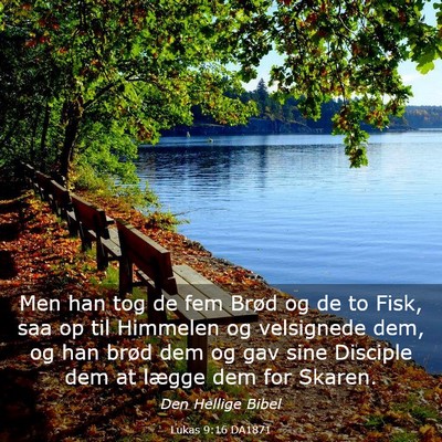Picture 03 - Lukas 9:16 DA1871 - Men han tog de fem Brød og de to Fisk, saa op - Bible Verse Picture