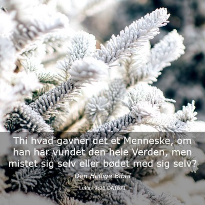 Picture 03 - Lukas 9:25 DA1871 - Thi hvad gavner det et Menneske, om han har - Bible Verse Picture