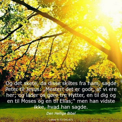 Picture 03 - Lukas 9:33 DA1871 - Og det skete, da disse skiltes fra ham, sagde - Bible Verse Picture