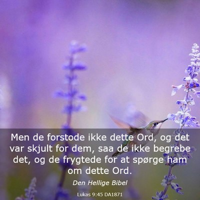 Picture 03 - Lukas 9:45 DA1871 - Men de forstode ikke dette Ord, og det var skjult - Bible Verse Picture
