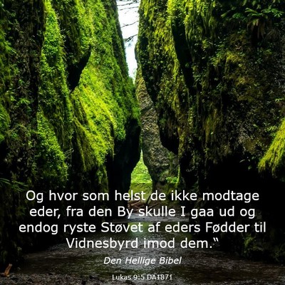 Picture 03 - Lukas 9:5 DA1871 - Og hvor som helst de ikke modtage eder, fra den - Bible Verse Picture