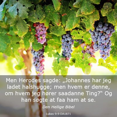 Picture 03 - Lukas 9:9 DA1871 - Men Herodes sagde: „Johannes har jeg ladet - Bible Verse Picture