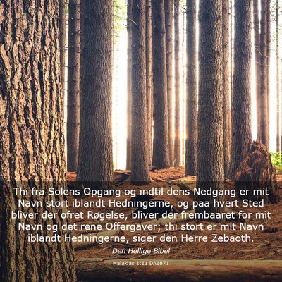 Picture 03 - Malakias 1:11 DA1871 - Thi fra Solens Opgang og indtil dens Nedgang er - Bible Verse Picture