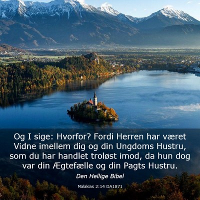 Picture 03 - Malakias 2:14 DA1871 - Og I sige: Hvorfor? Fordi Herren har været Vidne - Bible Verse Picture