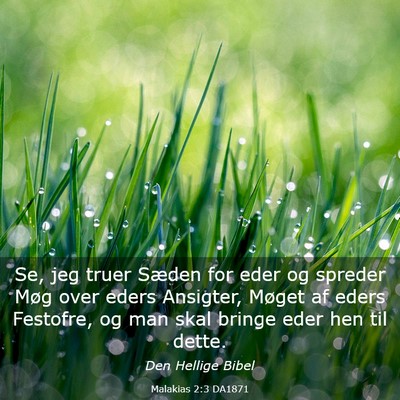 Picture 03 - Malakias 2:3 DA1871 - Se, jeg truer Sæden for eder og spreder Møg - Bible Verse Picture