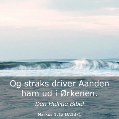 Picture 03 - Markus 1:12 DA1871 - Og straks driver Aanden ham ud i - Bible Verse Picture