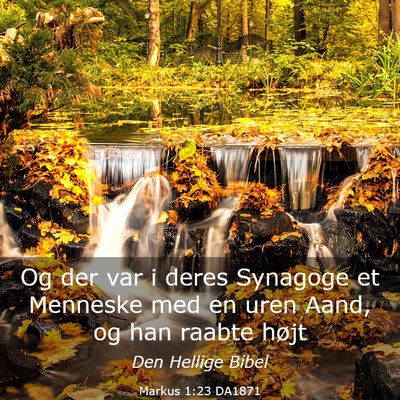 Picture 03 - Markus 1:23 DA1871 - Og der var i deres Synagoge et Menneske med en - Bible Verse Picture