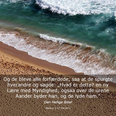 Picture 03 - Markus 1:27 DA1871 - Og de bleve alle forfærdede, saa at de spurgte - Bible Verse Picture