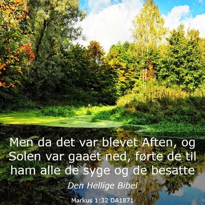 Picture 03 - Markus 1:32 DA1871 - Men da det var blevet Aften, og Solen var gaaet - Bible Verse Picture