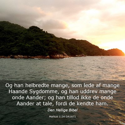 Picture 03 - Markus 1:34 DA1871 - Og han helbredte mange, som lede af mange Haande - Bible Verse Picture