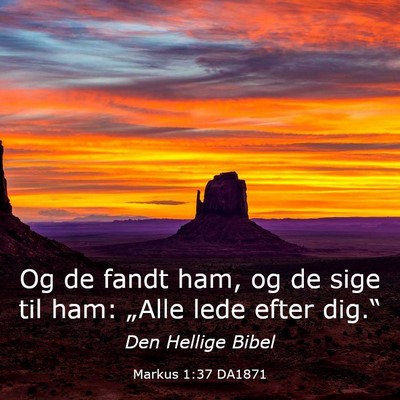 Picture 03 - Markus 1:37 DA1871 - Og de fandt ham, og de sige til ham: „Alle lede - Bible Verse Picture