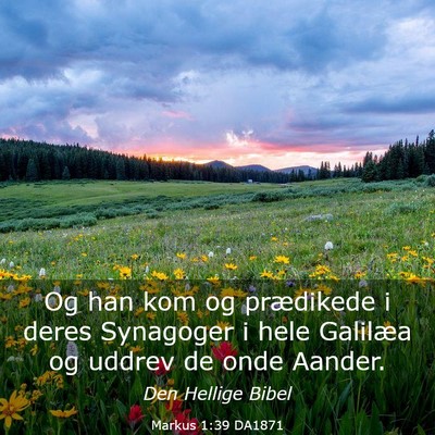 Picture 03 - Markus 1:39 DA1871 - Og han kom og prædikede i deres Synagoger i hele - Bible Verse Picture