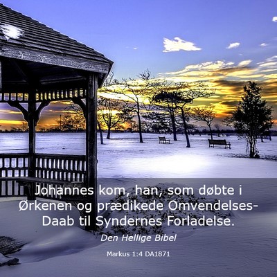Picture 03 - Markus 1:4 DA1871 - Johannes kom, han, som døbte i Ørkenen og - Bible Verse Picture