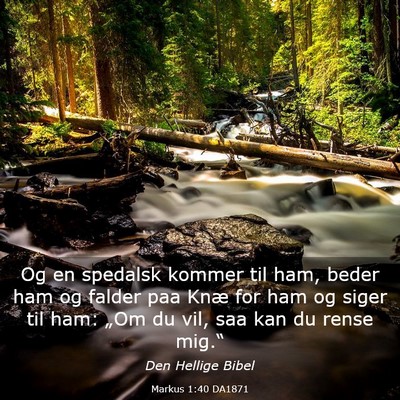 Picture 03 - Markus 1:40 DA1871 - Og en spedalsk kommer til ham, beder ham og - Bible Verse Picture