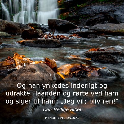 Picture 03 - Markus 1:41 DA1871 - Og han ynkedes inderligt og udrakte Haanden og - Bible Verse Picture