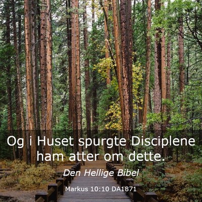 Picture 03 - Markus 10:10 DA1871 - Og i Huset spurgte Disciplene ham atter om - Bible Verse Picture