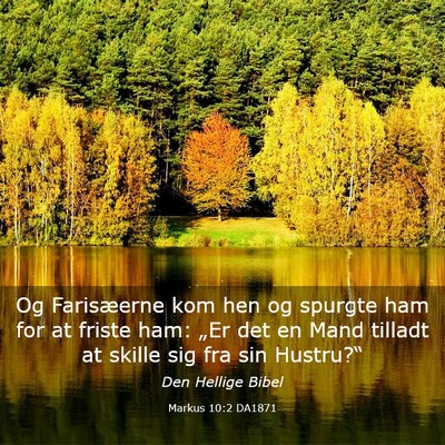 Picture 03 - Markus 10:2 DA1871 - Og Farisæerne kom hen og spurgte ham for at - Bible Verse Picture