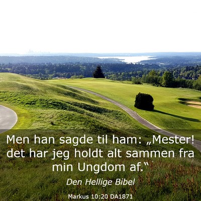 Picture 03 - Markus 10:20 DA1871 - Men han sagde til ham: „Mester! det har jeg - Bible Verse Picture