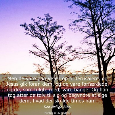 Picture 03 - Markus 10:32 DA1871 - Men de vare paa Vejen op til Jerusalem, og Jesus - Bible Verse Picture