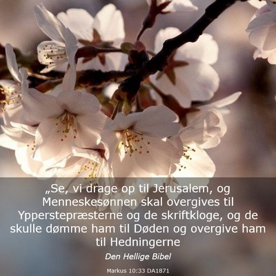 Picture 03 - Markus 10:33 DA1871 - „Se, vi drage op til Jerusalem, og - Bible Verse Picture