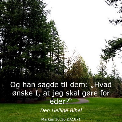 Picture 03 - Markus 10:36 DA1871 - Og han sagde til dem: „Hvad ønske I, at jeg - Bible Verse Picture