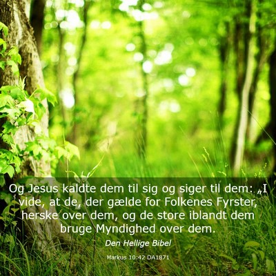 Picture 03 - Markus 10:42 DA1871 - Og Jesus kaldte dem til sig og siger til dem: - Bible Verse Picture