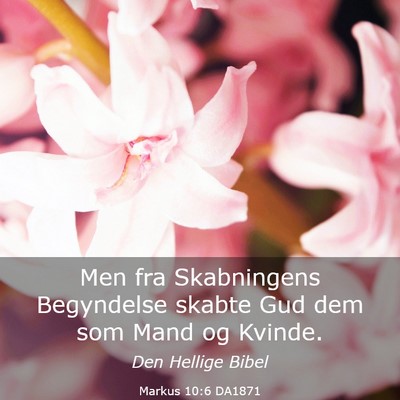 Picture 03 - Markus 10:6 DA1871 - Men fra Skabningens Begyndelse skabte Gud dem som - Bible Verse Picture