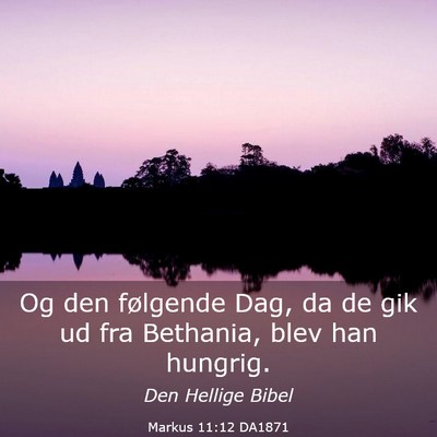 Picture 03 - Markus 11:12 DA1871 - Og den følgende Dag, da de gik ud fra Bethania, - Bible Verse Picture
