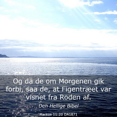 Picture 03 - Markus 11:20 DA1871 - Og da de om Morgenen gik forbi, saa de, at - Bible Verse Picture