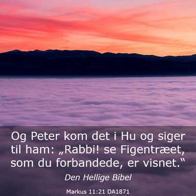 Picture 03 - Markus 11:21 DA1871 - Og Peter kom det i Hu og siger til ham: „Rabbi! - Bible Verse Picture