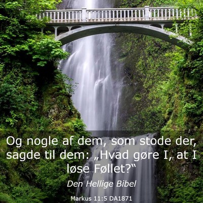 Picture 03 - Markus 11:5 DA1871 - Og nogle af dem, som stode der, sagde til dem: - Bible Verse Picture