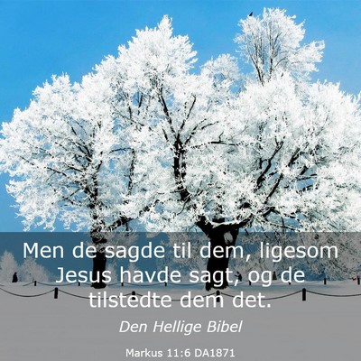 Picture 03 - Markus 11:6 DA1871 - Men de sagde til dem, ligesom Jesus havde sagt, - Bible Verse Picture
