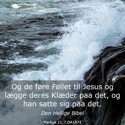 Picture 03 - Markus 11:7 DA1871 - Og de føre Føllet til Jesus og lægge deres - Bible Verse Picture