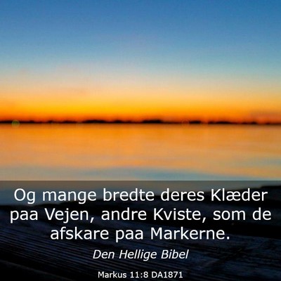 Picture 03 - Markus 11:8 DA1871 - Og mange bredte deres Klæder paa Vejen, andre - Bible Verse Picture