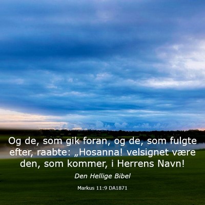 Picture 03 - Markus 11:9 DA1871 - Og de, som gik foran, og de, som fulgte efter, - Bible Verse Picture