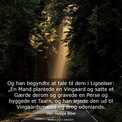 Picture 03 - Markus 12:1 DA1871 - Og han begyndte at tale til dem i Lignelser: - Bible Verse Picture